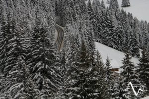 la clusaz route et sapin enneigés ©M. Pitteloud