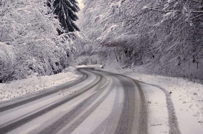 route enneigée en forêt