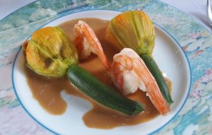 capucin gourmand vougy
