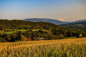 champs de Nonglars coucher de soleil ©M. Pitteloud