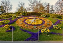 horloge fleurs genève