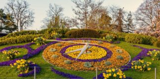 horloge fleurs genève