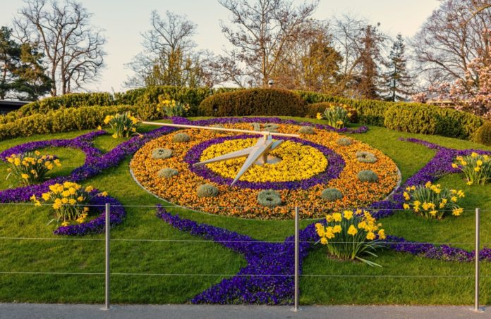 horloge fleurs genève