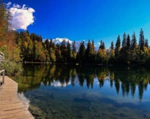 Lac vert ©M. Pitteloud