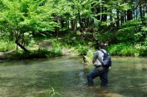 Pêche à la mouche rivière Haute-Savoie