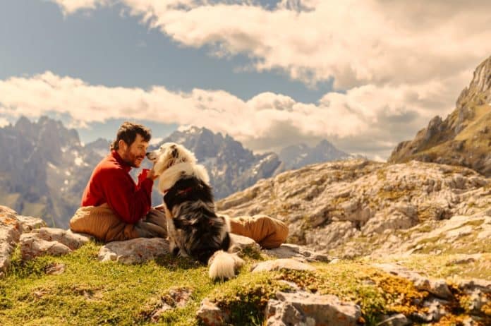 randonner avec son chien en montagne