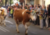 descente des alpages Annecy