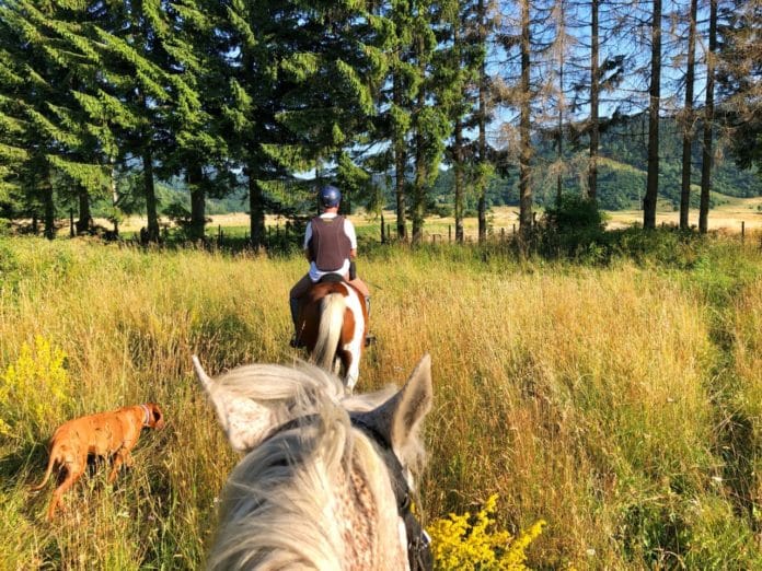 Équitation Annecy