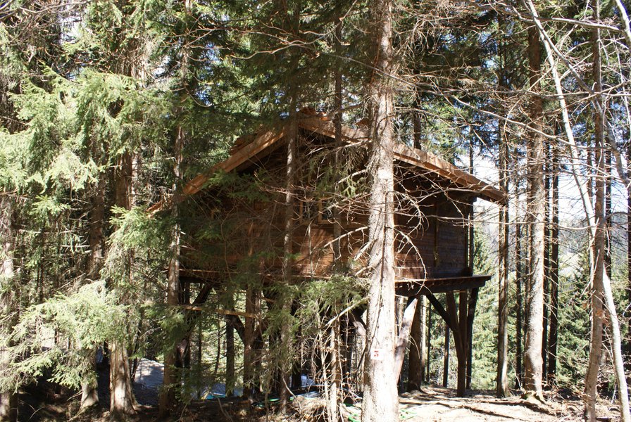 Cabanes dans les arbres en Savoie