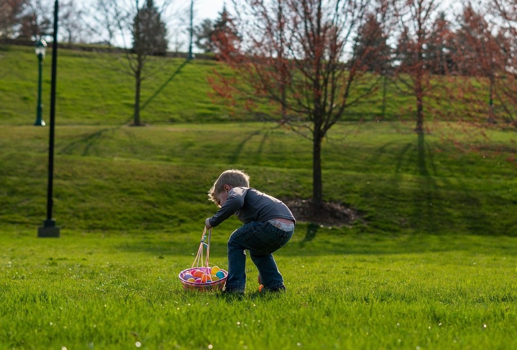 Chasse aux oeufs Pâques