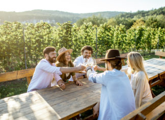 Dégustation vin Savoie