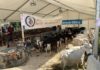Que faire ce week-end à Annecy ?