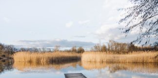 Etang de Crosagny Haute-Savoie