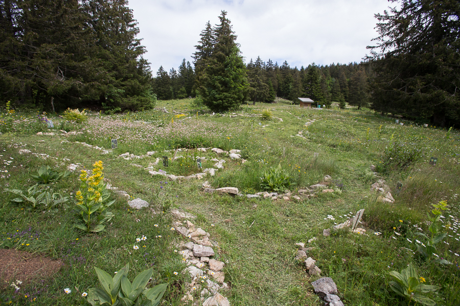 Jardin alpin du semnoz