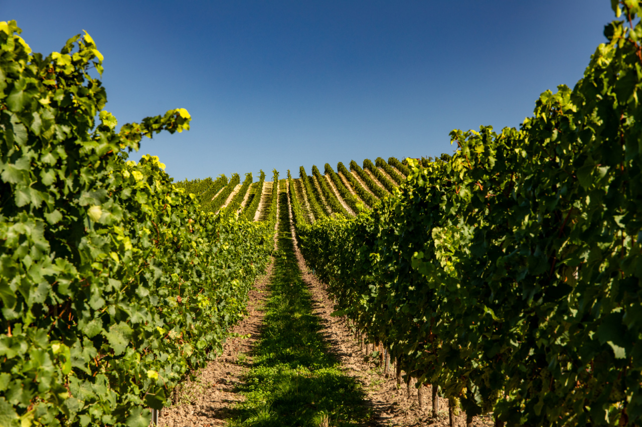 Route des vins Savoie