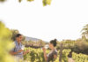 Route des vins Savoie