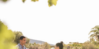Route des vins Savoie