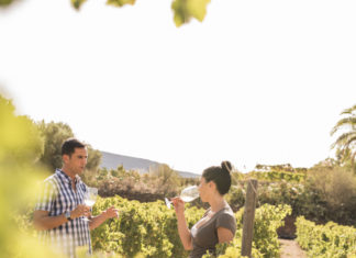 Route des vins Savoie