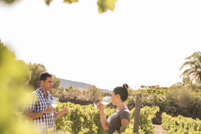 Route des vins Savoie