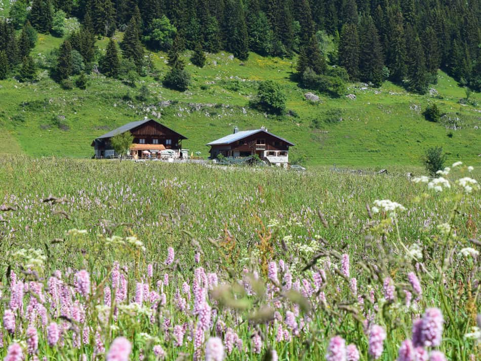 Refuge Chez Constance Glières