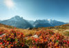 Où voir le Mont-Blanc depuis Annecy