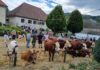 Que faire ce week-end Annecy et Haute-Savoie ?