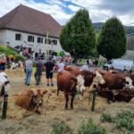 Que faire ce week-end Annecy et Haute-Savoie ?