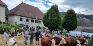 Que faire ce week-end Annecy et Haute-Savoie ?