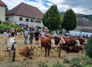 Que faire ce week-end Annecy et Haute-Savoie ?