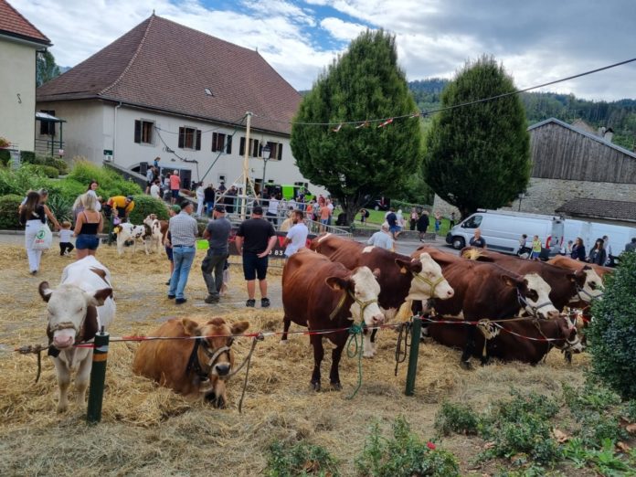 Que faire ce week-end Annecy et Haute-Savoie ?
