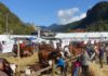 Foires d'automne 2025 Haute-Savoie