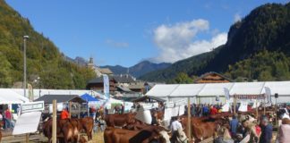 Foires d'automne 2025 Haute-Savoie
