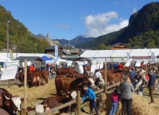 Foires d'automne 2025 Haute-Savoie