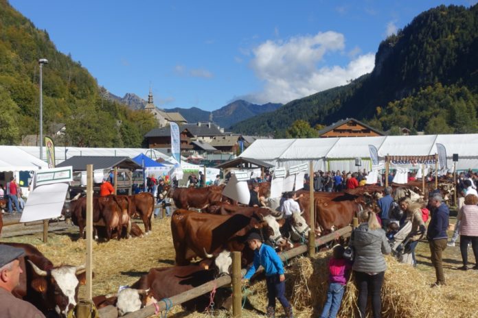 Foires d'automne 2025 Haute-Savoie