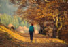 Randonnée automne Annecy