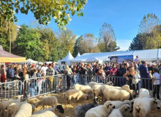 Ancileviennerie 2025 Annecy