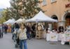 Fête de l'automne Annecy 2025