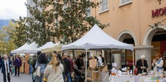 Fête de l'automne Annecy 2025