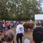 Que faire ce week-end Annecy ?