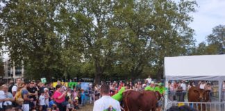 Que faire ce week-end Annecy ?