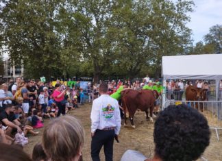 Que faire ce week-end Annecy ?