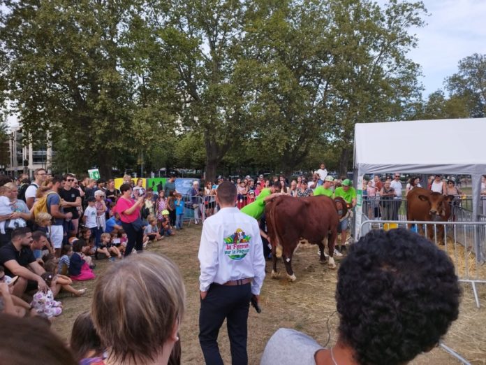 Que faire ce week-end Annecy ?