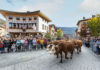 Ces descentes des alpages et fêtes pastorales à ne pas manquer en Savoie en 2026 ! Descentes alpages Savoie 2026