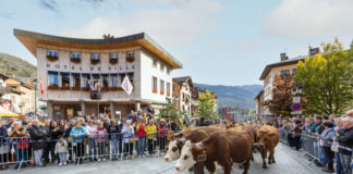Descentes alpages Savoie 2026