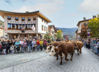 Descentes alpages Savoie 2026