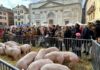 Fête du Caion Annecy 2026