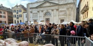 Fête du Caion Annecy 2026