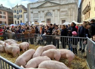 Fête du Caïon 2026 à Annecy : notez la date de cette fête traditionnelle dès maintenant ! Fête du Caion Annecy 2026
