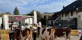 Que faire à Annecy le week-end du 16 au 18 octobre 2026 ? Que faire ce week-end Annecy ?