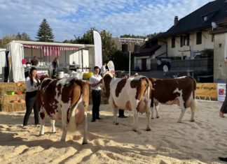 Que faire à Annecy le week-end du 16 au 18 octobre 2026 ? Que faire ce week-end Annecy ?